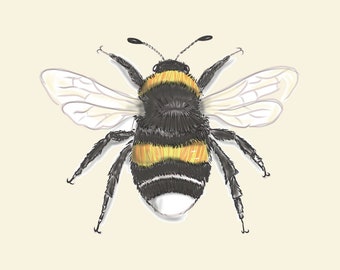 Bumble Bee druck (Digital Download)