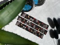 Skeleton and Roses Glitter Washi Tape, Always and Forever Washi Tape, Skull Washi Tape, Occult Washi Tape, Spooky Cute Washi Tape