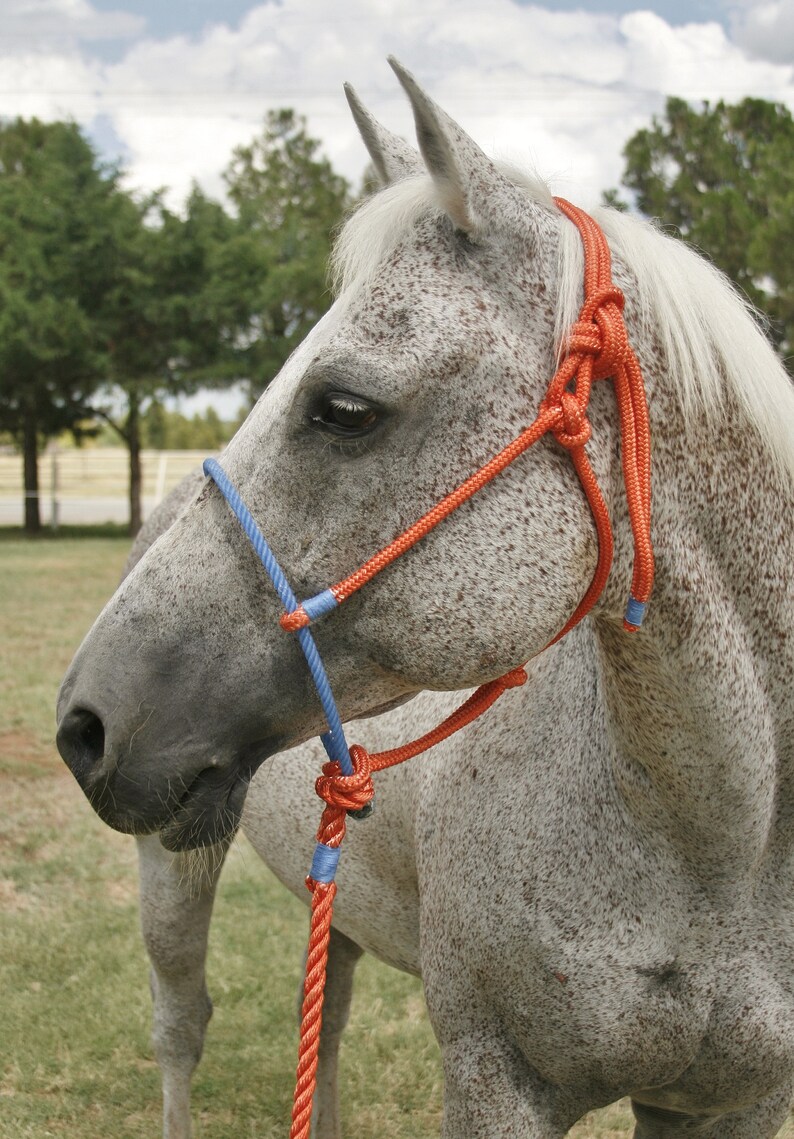 Custom Lariat Nose Rope Halter Etsy