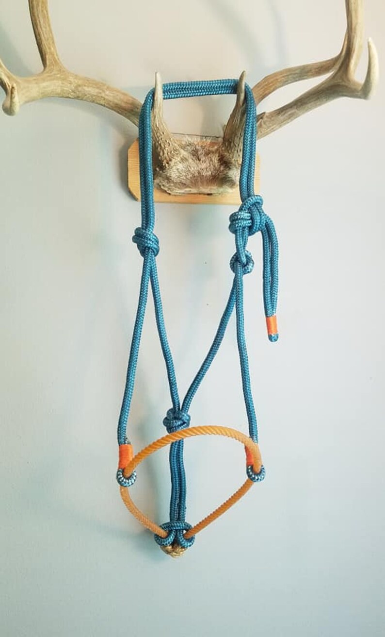 Custom Lariat Nose Rope Halter Etsy