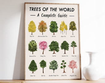 Botanical Poster Tree - Etsy