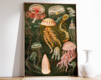Vintage Jellyfish Poster, Ocean Art, Wildlife Print, Fish Art, Nature, Botanical Art, Marine Art, Gift Idea, Nautical Print, A1/A2/A3/A4