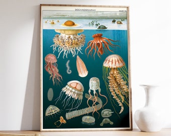 ヴィンテージのクラゲポスター、海洋学の海洋アートプリント