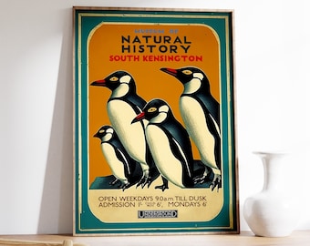 Vintage natuurhistorisch museumposter, pinguïns, retro museumprint, vintage museumprint, vintage muurkunst, dierenkunstcadeau, A1/A2/A3/A4