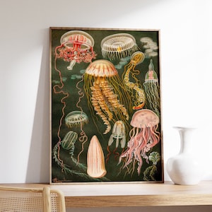 Póster vintage de medusas, arte oceánico, impresión de vida salvaje, arte de peces, naturaleza, arte botánico, arte marino, idea de regalo, impresión náutica, A1/A2/A3/A4