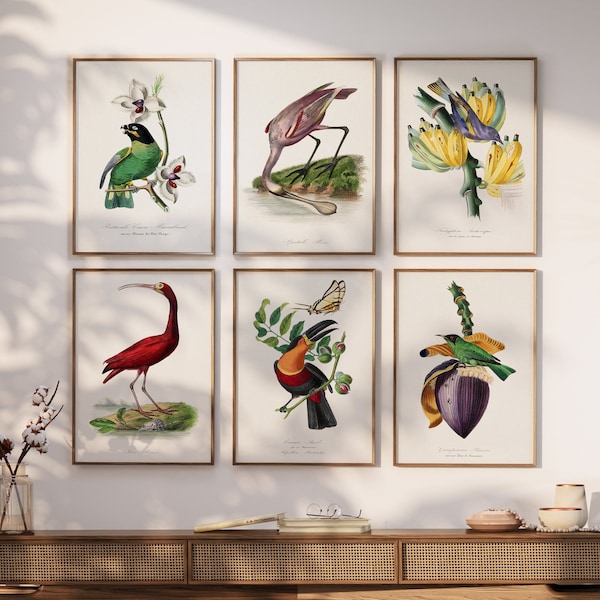 Set of 6 Botanical Prints Gallery Wall, Vintage Bird Posters, Floral Decor Gallery Wall, Nature Art, Wall Prints, Poster Sets, A1/A2/A3/A4