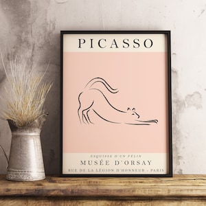 May include: A black framed poster with a pink background featuring a line drawing of a cat stretching. The poster has the text "PICASSO" at the top and "ESQUISSE D'UN FELIN MUS&Eacute;E D'ORSAY RUE DE LA L&Eacute;GION D'HONNEUR - PARIS" at the bottom.