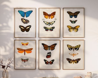 Vintage Butterfly Print Set, Botanical Illustration Art (A1/A2/A3/A4)