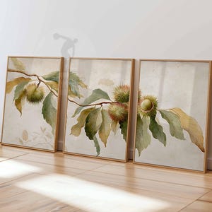 Chestnut Tree Wall Art Set of 3, Botanical Leaf Poster Prints, Rustic Nature Branch Decor, Vintage Chestnut Plant Artwork for Home or Office