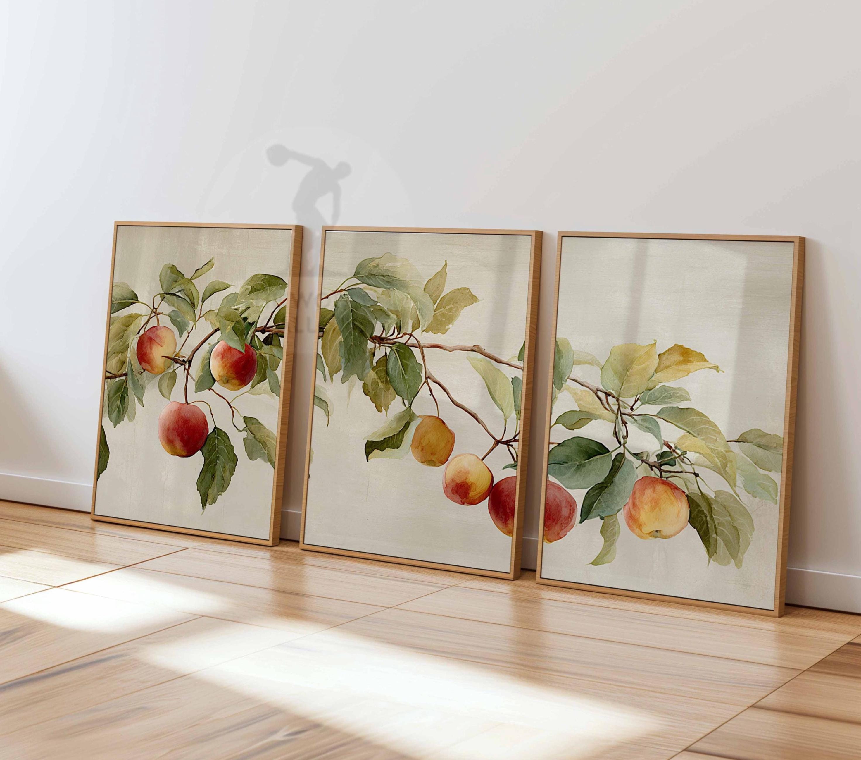 Frank dam カフェ　アート 474mm × 459mm Vintage Apple Tree Prints Set, Rustic Farmhouse Wall Art - Etsy