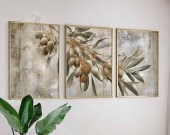 Olive Branch Prints Set, Rustic Botanical Art, Mediterranean Decor