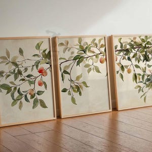 May include: Three framed watercolour prints depicting branches with green leaves and peaches. The artwork has a neutral background and is set in light wooden frames. The prints are leaning against a white wall on a wooden floor.