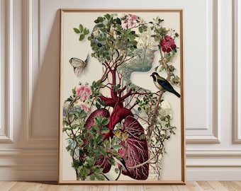 Póster de anatomía humana, pósteres del cuerpo humano, impresiones de anatomía para pared, impresión médica educativa, decoración para consultorios médicos, póster de anatomía de estilo vintage