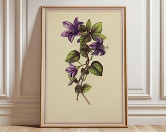 ヴィンテージの紫色の花の植物画、アンティークの壁掛けアート