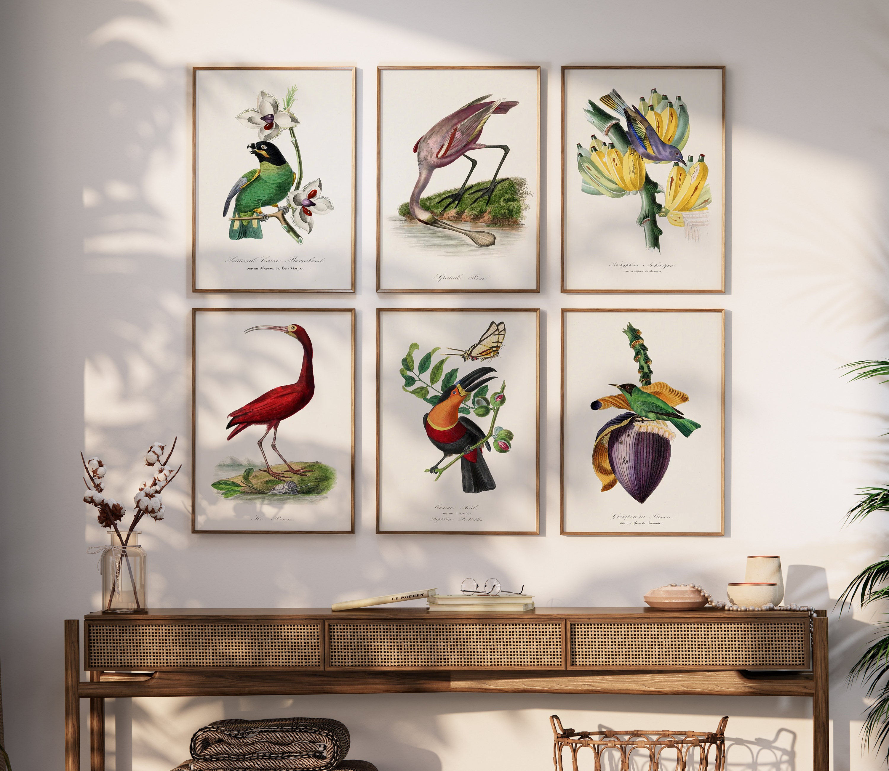 Vintage Botanical Prints Set, Bird & Floral Gallery Wall Art - Etsy UK