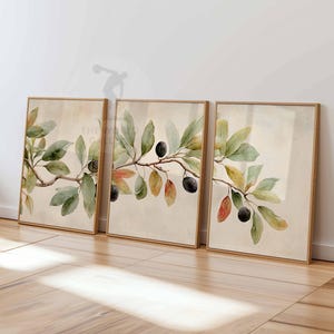 May include: Three framed watercolour prints depicting olive branches with green and red leaves and black olives. The artwork has a neutral background and is set in wooden frames. The theme is botanical.