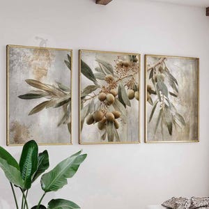 May include: Set of three framed botanical art prints. Each print depicts olive branches with green leaves and olives, set against a textured, neutral backdrop. The frames are gold-coloured, adding elegance to the artwork.