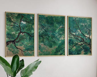 May include: Three framed art prints featuring a green tree canopy. The artwork has a gold frame and a vintage aesthetic. The color palette includes shades of green and brown, creating a natural and serene atmosphere.