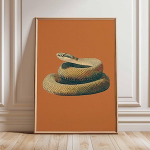 May include: Framed vintage illustration of a coiled snake. The snake is rendered in yellow, green, and brown hues, set against an orange backdrop. The artwork is presented in a wooden frame, ideal for wall decoration.