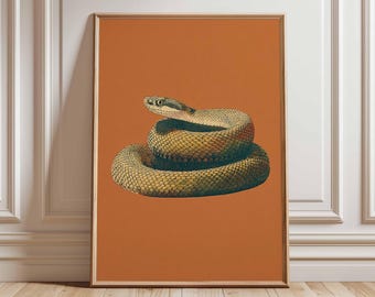 Asian Twisted Snakes Serpent Herpetology LARGE Seba Natural