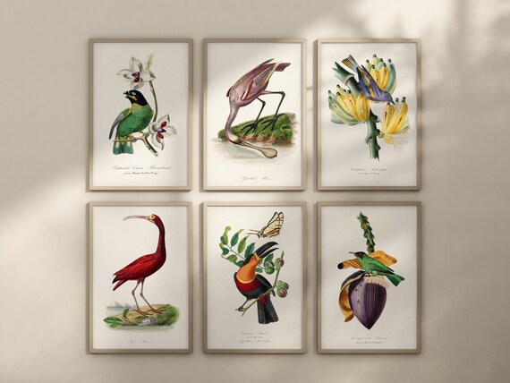 Vintage Vogelnest Ölgemälde, 30,5x40,6 Cm Gerahmt – Frühlings-Kolibri Wandbild Für Wohnzimmer, Büro Oder Gäste-WC