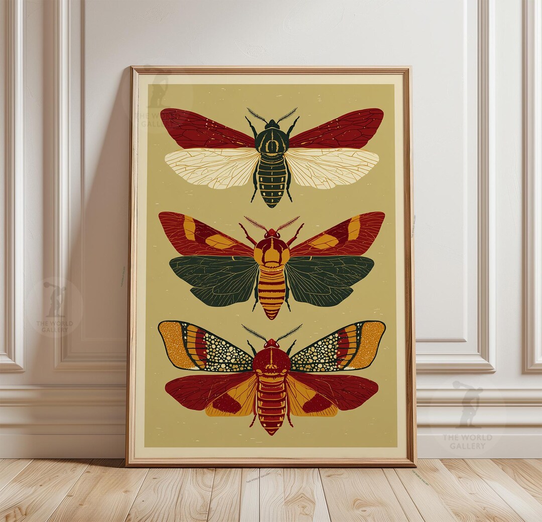 Moth Illustration Poster | Vintage Insect Wall Art | Natural History ...