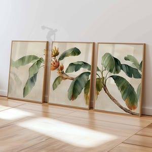 Puede incluir: Tres pinturas en acuarela enmarcadas de plantas de plátano. Cada obra presenta grandes hojas verdes y flores amarillas y naranjas sobre un fondo beige. Los marcos son de madera marrón claro, expuestos sobre un suelo de madera.
