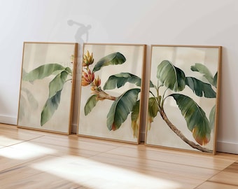 Banana Leaf Wall Art Set of 3, Tropical Plant Poster Prints, Jungle Botanical Decor, Green Banana Tree Branch Artwork for Home or Office