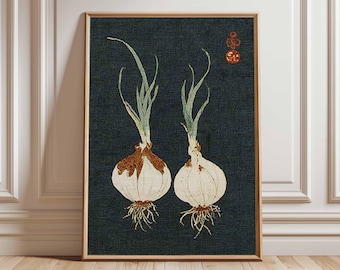 Vintage Onion Plant Botanical Print, Rustic Farmhouse Kitchen Art