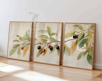 Olive Branch Botanical Print Set, Mediterranean Decor