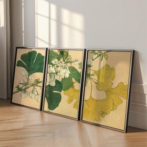 May include: Three framed botanical prints featuring detailed illustrations of ginkgo leaves and flowering branches. The artwork showcases a palette of green, yellow, and white against a beige background, with black frames. The prints are leaning against a wall.