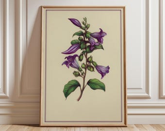 ヴィンテージの紫色の花柄プリント、アンティークの植物画