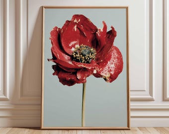 Red Anemone Flower Art Print, Modern Botanical Poster