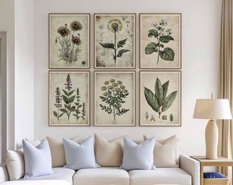 Conjunto de láminas vintage de flores silvestres, arte mural botánico antiguo, decoración de estilo rústico.