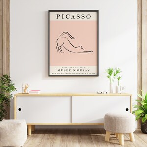 May include: A black framed print with a pink background featuring a line drawing of a cat. The print has the text "PICASSO" at the top and "ESQUISSE D'UN FELIN MUSEE D'ORSAY RUE DE LA LEGION D'HONNEUR - PARIS" at the bottom.