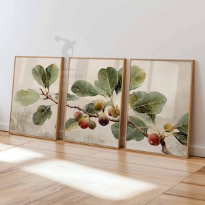 May include: Three framed botanical prints depicting fig branches with green leaves and ripe figs in shades of red, purple, and green. The artwork has a watercolour style with a neutral background and wooden frames.
