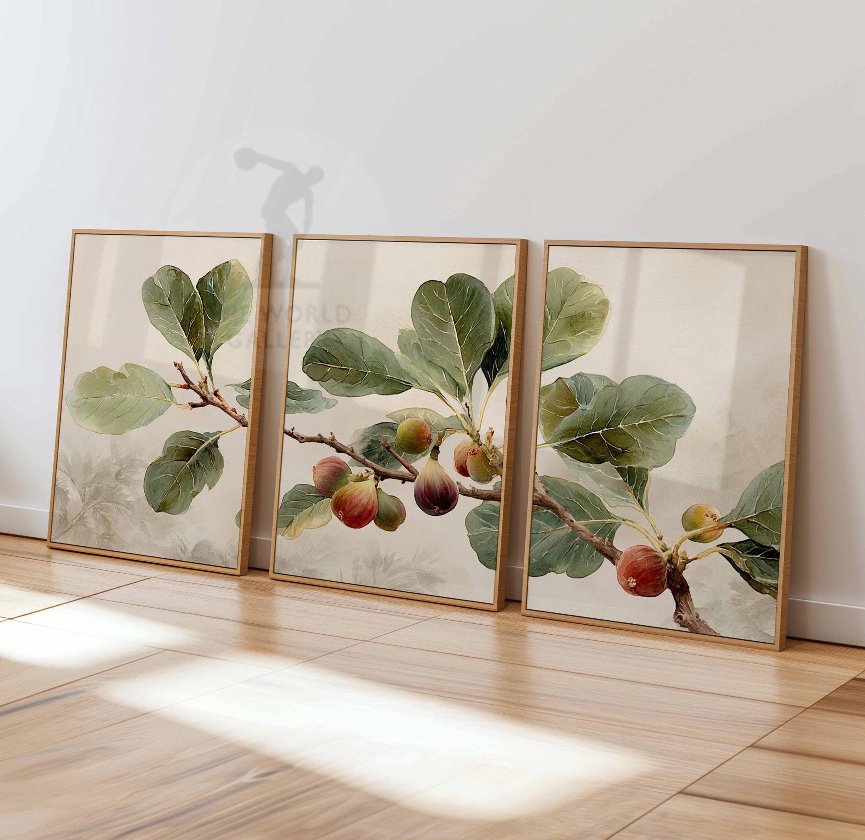 Vintage Fig Tree Set of 3 Prints, Rustic Decor, Vintage Fruit Wall