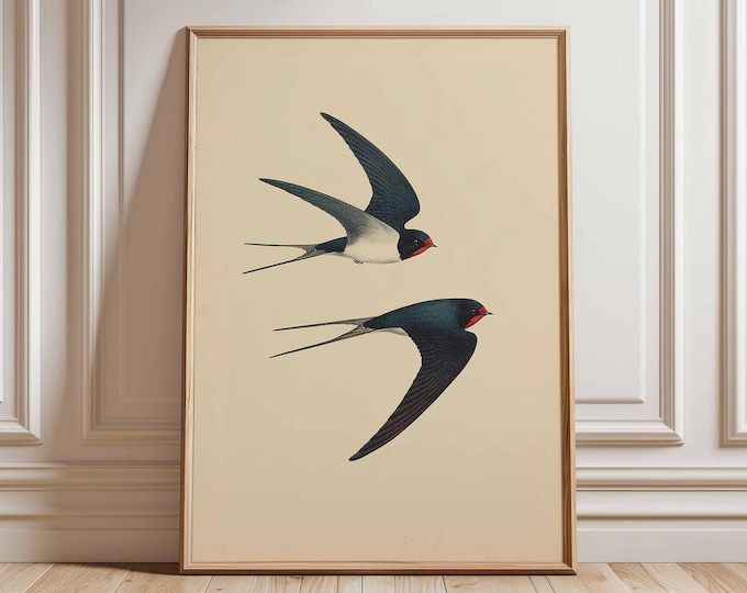 Vintage Swallow Bird Wall Art Print – Classic Bird Illustration Poster, Flying Swallow Artwork, Retro Nature Inspired Home Decor