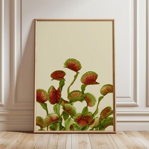 Puede incluir: Una impresión de arte mural vertical enmarcada que presenta una ilustración botánica de varias plantas atrapamoscas. Las plantas tienen tallos y hojas de color verde vibrante con trampas dentadas de color rojo anaranjado sobre un fondo beige claro.