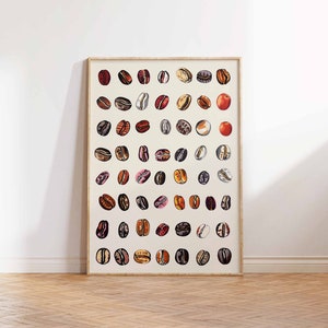May include: A framed print of a collection of coffee beans, each with a unique color and pattern. The beans are arranged in rows on a white background.