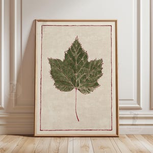 Póster de hoja de arce / Ilustración botánica de líneas finas, arte de la naturaleza de estilo vintage