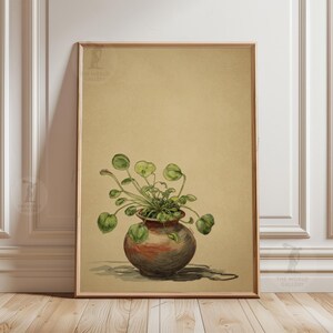 Op de afbeelding: Een ingelijste botanische prent met een aquarel illustratie van een potplant met ronde, groene bladeren. De terracotta pot staat op een lichtbruine achtergrond. De lijst heeft een warme bruine kleur. Het logo van The World Gallery staat rechtsonder.