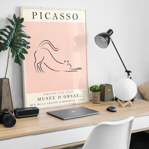 May include: A minimalist black and white line drawing of a cat on a pink background. The poster is framed in wood and has the text "PICASSO" at the top and "ESQUISSE D'UN FELIN MUS&Eacute;E D'ORSAY RUE DE LA L&Eacute;GION D'HONNEUR - PARIS" at the bottom.