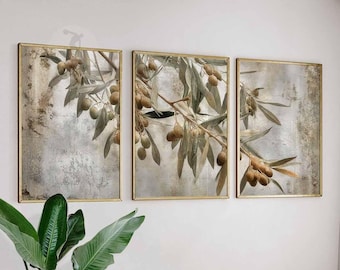 May include: Set of three framed wall art pieces featuring olive branches with olives. The artwork has a neutral color palette with gold frames. The olive branches are depicted with green leaves and brown olives, creating a natural and rustic aesthetic.