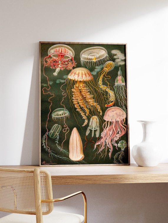 Vintage Jellyfish Poster, Ocean Art, Wildlife Print, Fish Art, Nature, Botanical Art, Marine Art, Gift Idea, Nautical Print, A1/A2/A3/A4