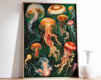 ヴィンテージのクラゲポスター、熱帯の海のプリント、海洋生物アート