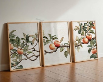 ヴィンテージ ピーチ ツリー プリント 3 枚セット、素朴な装飾、ヴィンテージ フルーツ ウォール アート、農家の装飾、植物のプリント、トロピカルな装飾、キッチンの装飾