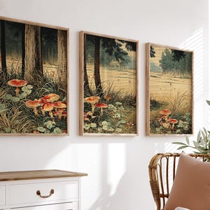 May include: Three framed art prints depicting a forest scene with red-capped mushrooms. The artwork has a vintage aesthetic, with tall trees and a grassy foreground. The frames are made of light-coloured wood, and the overall colour palette is muted.