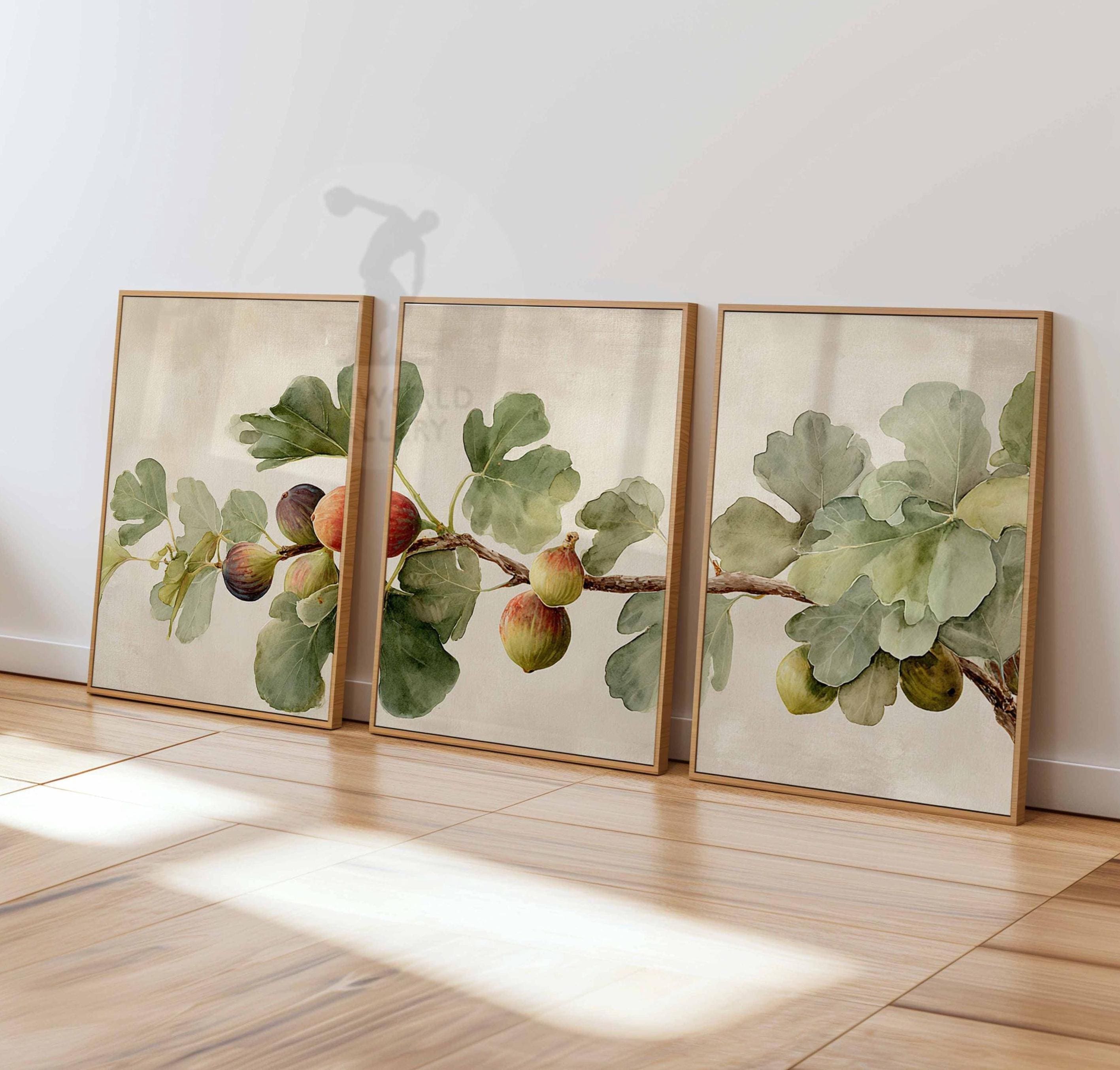 Vintage Fig Tree Print Set, Rustic Botanical Wall Art - Etsy