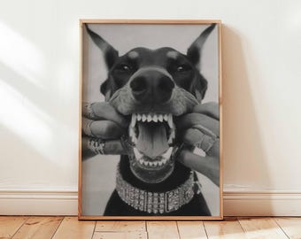 May include: Black and white framed print featuring a Doberman Pinscher with an open mouth, revealing teeth. The dog wears a jeweled collar. The image is set against a white wall and wooden floor.